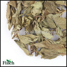 Té de hierbas secado de la hierbabuena, té herbario secado de la hoja de menta